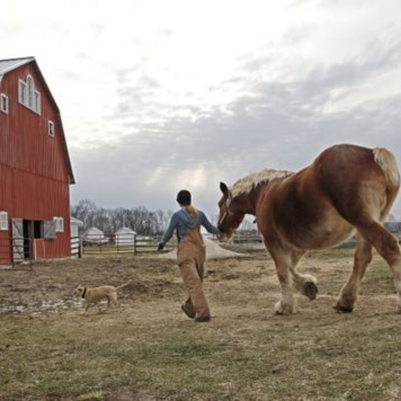 Meet your Posher, Kamala ♥️ - Picture 3 of 3